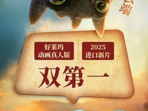 《新驯龙高手真人版上映 豆瓣开分8.4登顶》