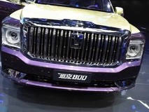 坦克800迟迟未上市,期待值拉满