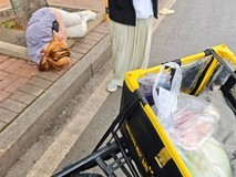 吉利试驾员路边救助受伤女外卖员引网友热议