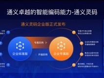 通义灵码发布企业版,满足企业定制化需求