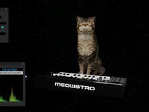 《Meow斯特罗》上架发售，让可爱猫咪演奏音乐成为可能
