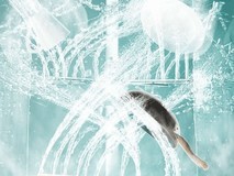 618必看!华帝这款洗碗机让你告别洗碗烦恼,干净省事还省钱