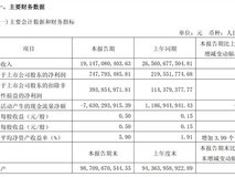 赛力斯一季度营收下滑,净利润激增