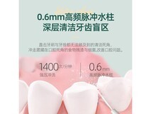 博皓5012冲牙器限时85元