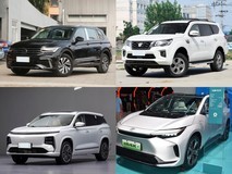 30万元内5座中型SUV精选:途观L新能源、帕拉丁、山海L9、铂智4X四强价值对比