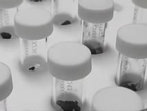 嫦娥六号月壤研究揭示磁场形成机制