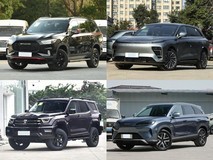 30万内五款实力SUV推荐,燃油混动纯电全都有