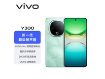 vivo Y300 8GB+256GB青松配色手机热卖