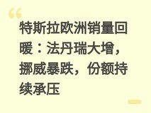 特斯拉欧洲销量回暖:法丹瑞大增,挪威暴跌,份额持续承压