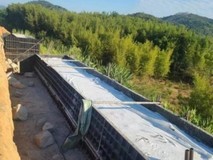 一块模板的“碳”寻之路:从森林消耗到循环利用, 中国“智”造重塑施工生态