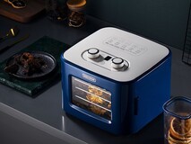 摩飞干果机蓝色款319元