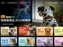 从《疯狂动物城2》预约爆火,看虹领金如何接住优质内容的加速度