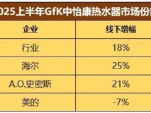 2025H1家电业两极分化:强者更强
