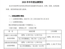 游族网络上半年净利预增超7倍,战略创新推动业绩高增长