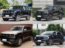 30万元内五款中大型SUV深度横评:硬派、纯电、插混谁更值得选