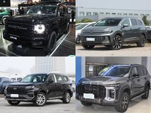 30万内汽油中大型SUV推荐:五款实力派车型全解析