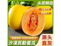 久雅优鲜甘肃民勤蜜瓜,原价39.9元用券仅31.9元