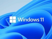 Windows 11悄然回归Vista经典视频壁纸功能