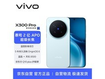 vivo X300 Pro自在蓝AI手机,低至5069元