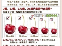 2026年车厘子选购攻略:看完这篇不踩雷,直接实现“车厘子自由”!