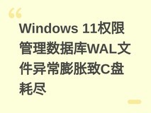 Windows 11权限管理数据库WAL文件异常膨胀致C盘耗尽