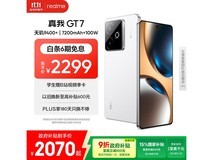 realme GT7ʯīϩ¡¤Ñ©°æ5GÊÖ»ú´ó´Ù