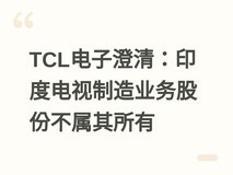 TCL电子澄清:印度电视制造业务股份不属其所有