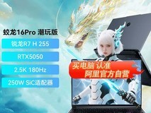 机械革命蛟龙16Pro潮玩版