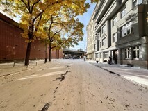 扎克·克雷格执导生化危机新电影2026年上映