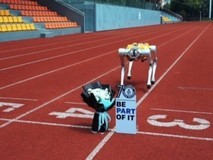 国内首款模块化四足机器人-Apollo 从“白犀”吉尼斯纪录走来