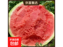 精品麒麟有籽西瓜,5 - 6 斤仅 11 元,坏果包赔!