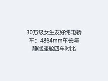 30万级女生友好纯电轿车:4864mm车长与静谧座舱四车对比