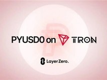 PayPal公司旗下稳定币登陆波场TRON网络