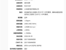 小米手环11标准版与NFC版通过无线电核准,或将于7月发布会亮相