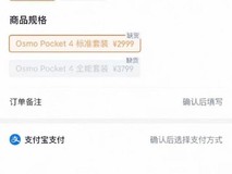 大疆Osmo Pocket 4发布即售罄,线下门店现排队抢购热潮