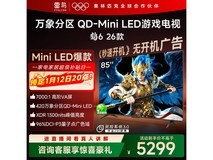 雷鸟鹤6 85英寸4K电视钜惠