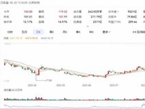 芯片板块强势上扬,中芯国际营收增长创新高