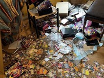 日本民宿惊现数千张废弃宝可梦卡牌,疑与黄牛活动有关