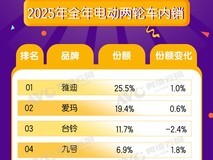 2025电动两轮车销量榜:雅迪稳居榜首,九号增速第一
