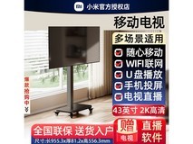 小米REDMI 43英寸移动平板电视