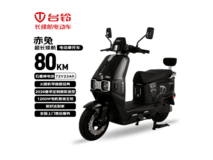台铃TL1200DT-84T电动摩托限时直降799