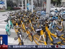 共享单车骑行中突现自动锁车致摔伤 引发安全与责任争议