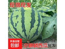 郭庙新鲜头茬无籽麒麟瓜,原价14.8元券后10.8元