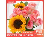 京东云南基地鲜花特惠!10枝玫瑰2枝向日葵,券后15.9元