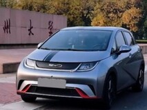 高知圈层的理性之选:为何大学老师都在开比亚迪