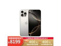 Apple iPhone 16 Pro Max 256GB京东补贴价8099元
