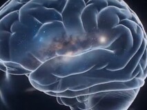 量子白骨观全书总括结语| 赵杰 |量子白骨观