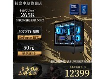 技嘉组装电脑265KF+RTX5070冰猎鹰限时特惠9999元