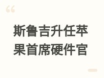 约翰尼·斯鲁吉升任苹果首席硬件官,全面统领自研芯片与硬件全链条