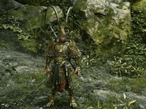 影之刃零上线孙悟空主题Mod:骨骼精准适配,双版本可选,即装即用